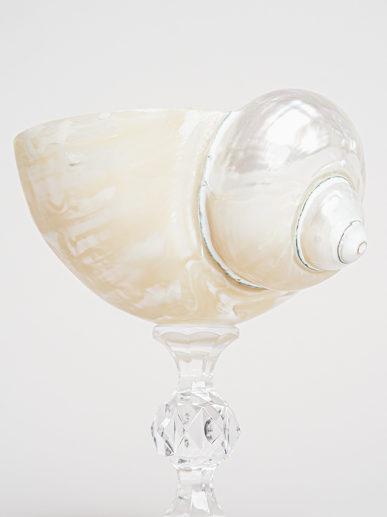 Ariel Pearl Snail sklenice