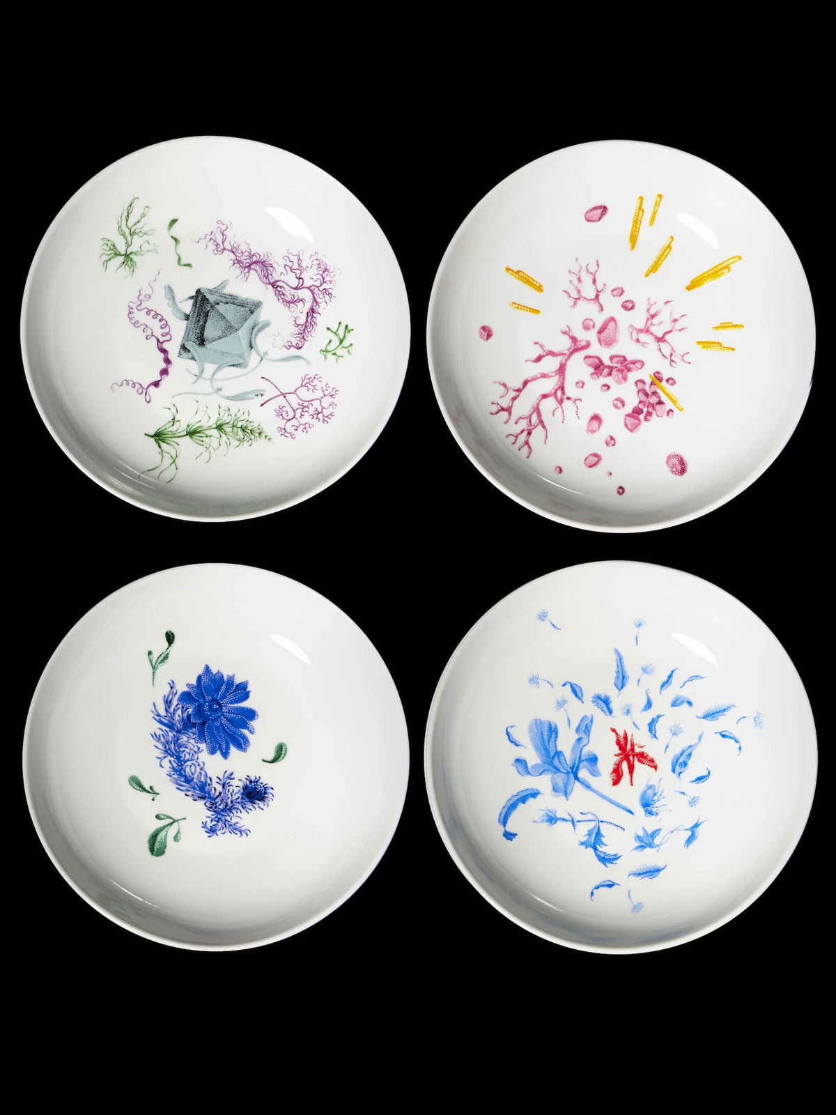 Hyakintos deep plate