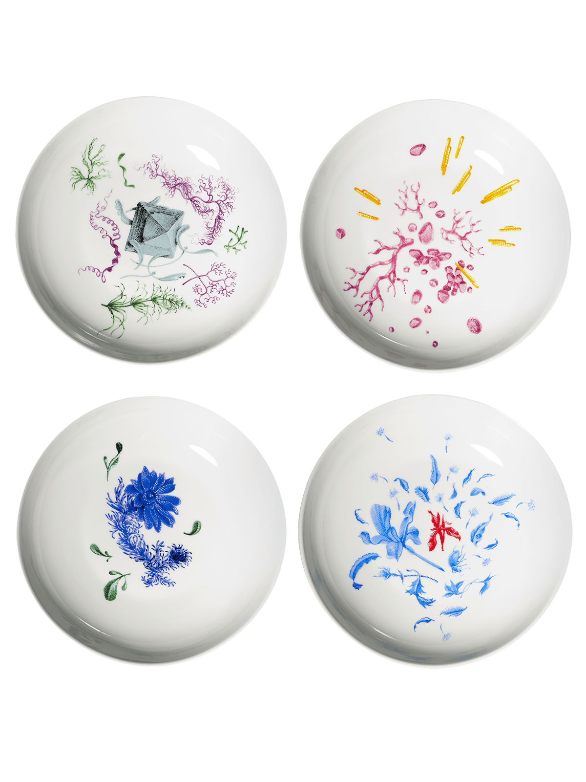 Hyakintos deep plate