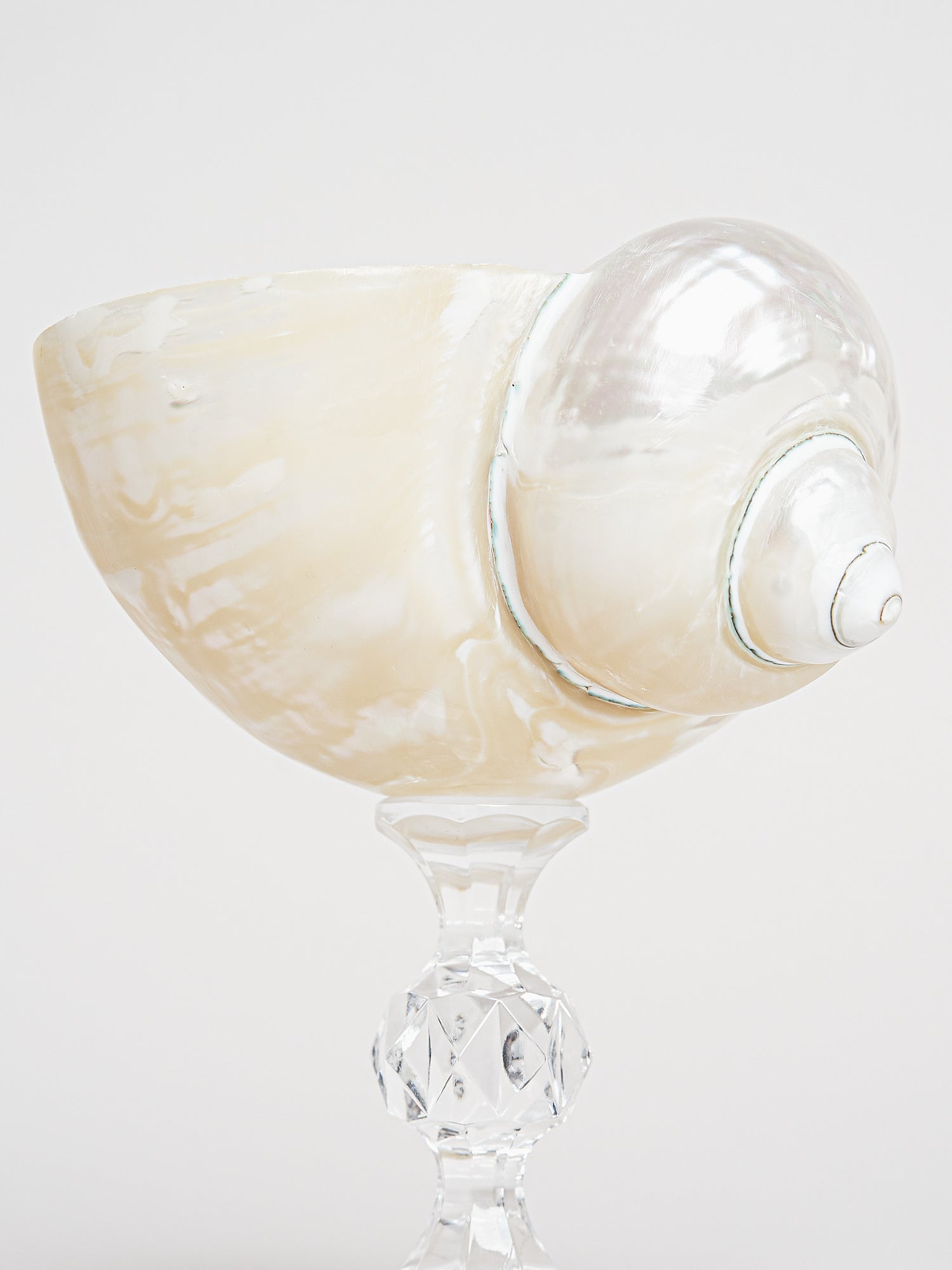 Ariel Pearl Snail sklenice